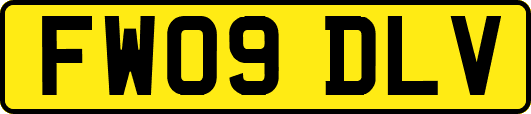 FW09DLV