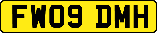 FW09DMH