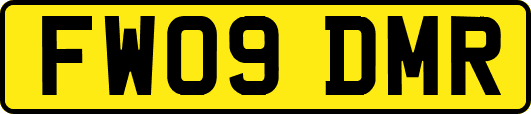 FW09DMR
