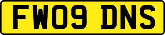 FW09DNS