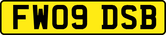 FW09DSB