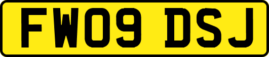 FW09DSJ