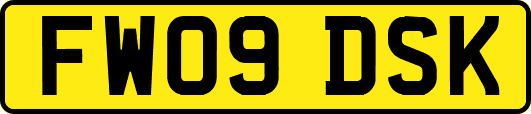 FW09DSK