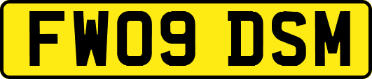 FW09DSM