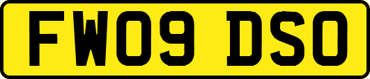 FW09DSO