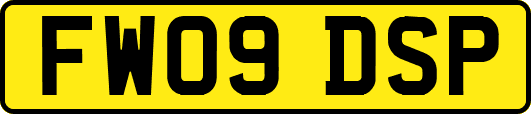 FW09DSP