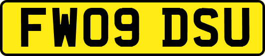 FW09DSU