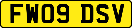 FW09DSV