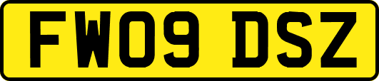 FW09DSZ