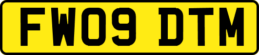 FW09DTM