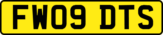 FW09DTS