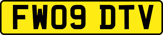 FW09DTV