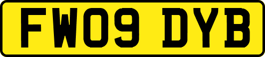FW09DYB