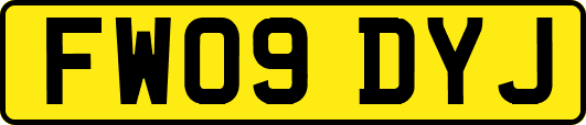FW09DYJ