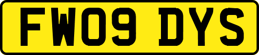 FW09DYS