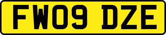FW09DZE