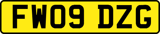 FW09DZG