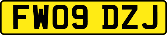 FW09DZJ