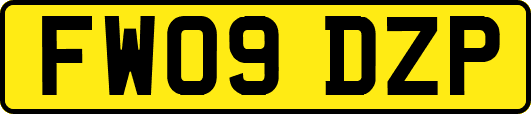 FW09DZP