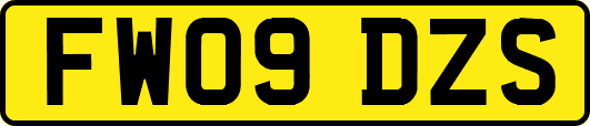 FW09DZS