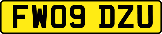 FW09DZU