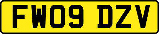 FW09DZV