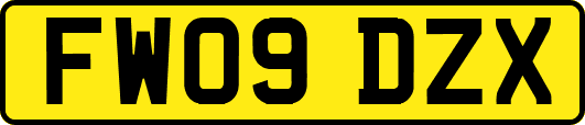 FW09DZX
