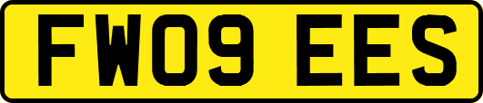 FW09EES
