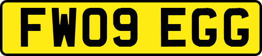 FW09EGG