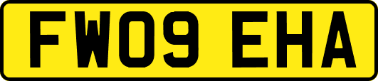 FW09EHA