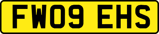 FW09EHS