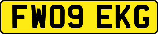 FW09EKG