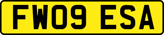 FW09ESA