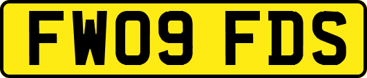 FW09FDS