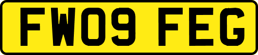 FW09FEG