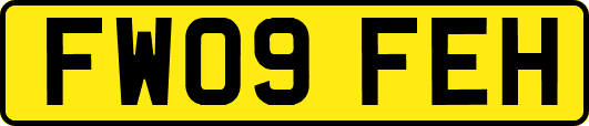 FW09FEH