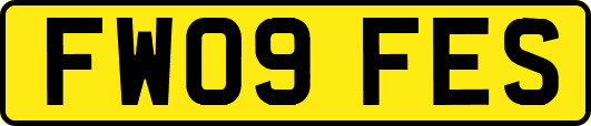 FW09FES