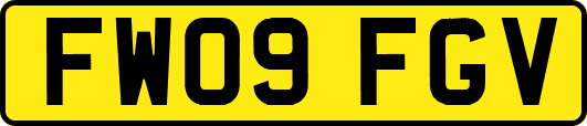 FW09FGV