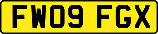 FW09FGX