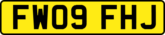 FW09FHJ
