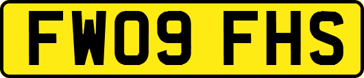 FW09FHS