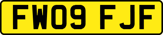 FW09FJF