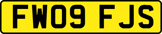 FW09FJS