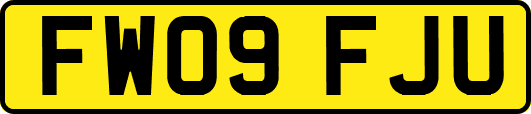 FW09FJU
