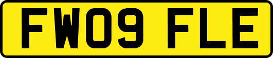FW09FLE