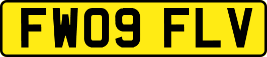 FW09FLV