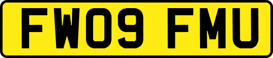FW09FMU