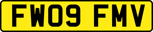 FW09FMV