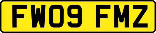 FW09FMZ