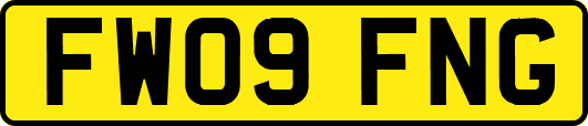 FW09FNG